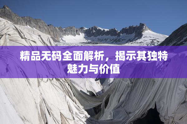 精品无码全面解析，揭示其独特魅力与价值