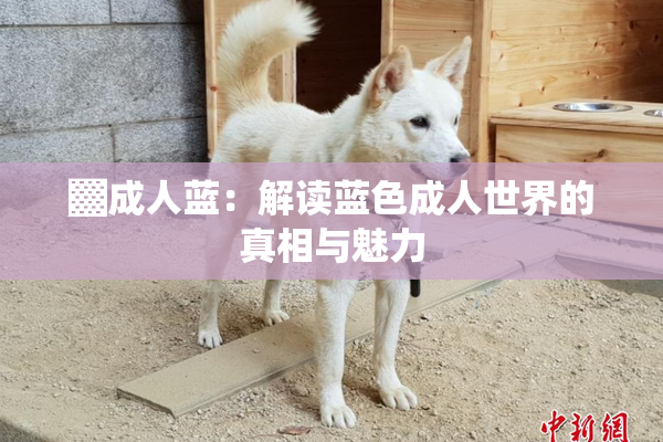 ▓成人蓝：解读蓝色成人世界的真相与魅力