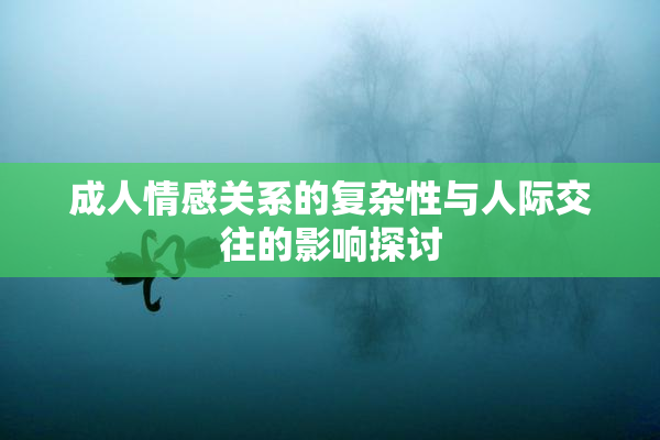 成人情感关系的复杂性与人际交往的影响探讨