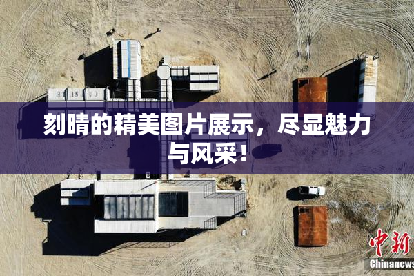 刻晴的精美图片展示，尽显魅力与风采！