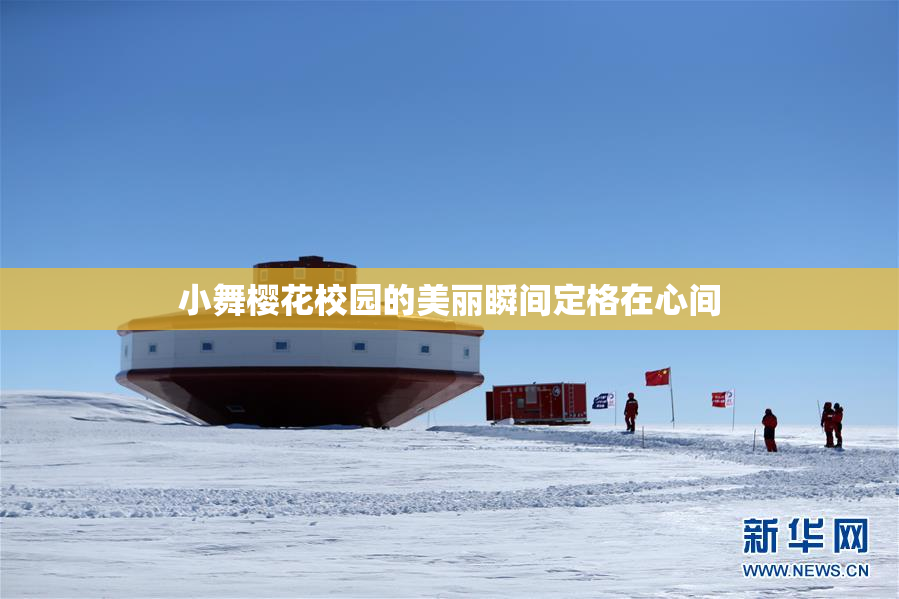 小舞樱花校园的美丽瞬间定格在心间