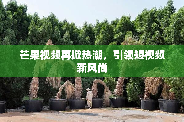 芒果视频再掀热潮，引领短视频新风尚
