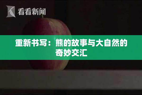 重新书写：熊的故事与大自然的奇妙交汇