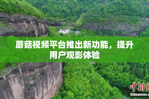 蘑菇视频平台推出新功能，提升用户观影体验