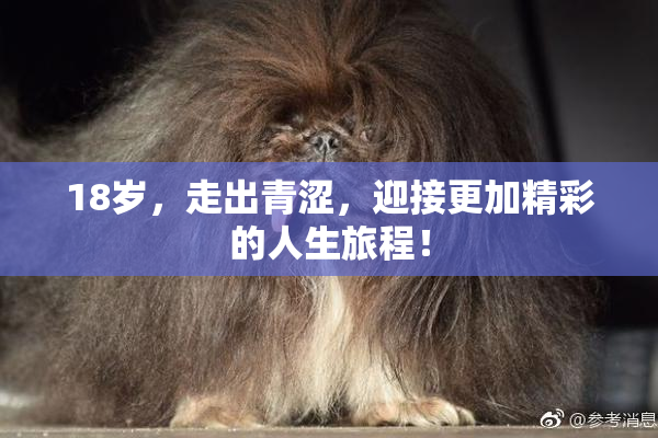 18岁，走出青涩，迎接更加精彩的人生旅程！