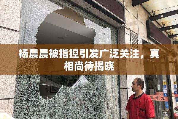 杨晨晨被指控引发广泛关注，真相尚待揭晓