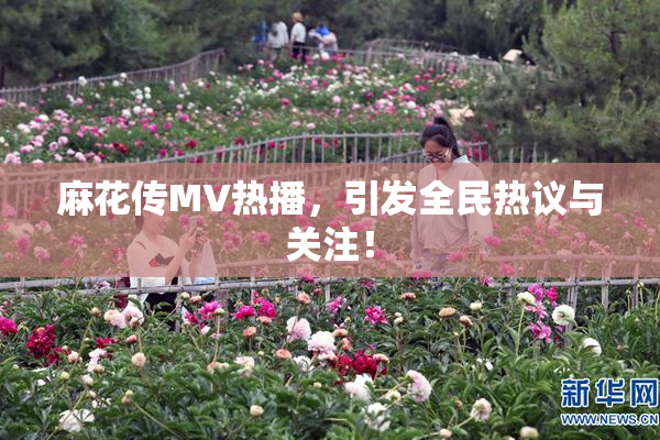 麻花传MV热播，引发全民热议与关注！