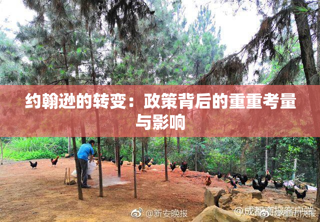 约翰逊的转变：政策背后的重重考量与影响