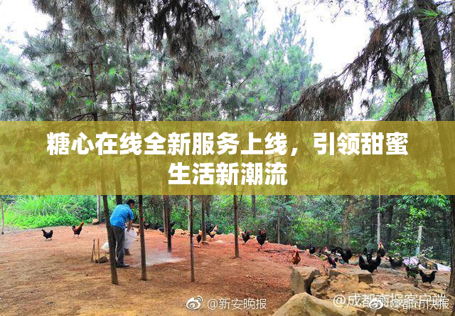 糖心在线全新服务上线，引领甜蜜生活新潮流