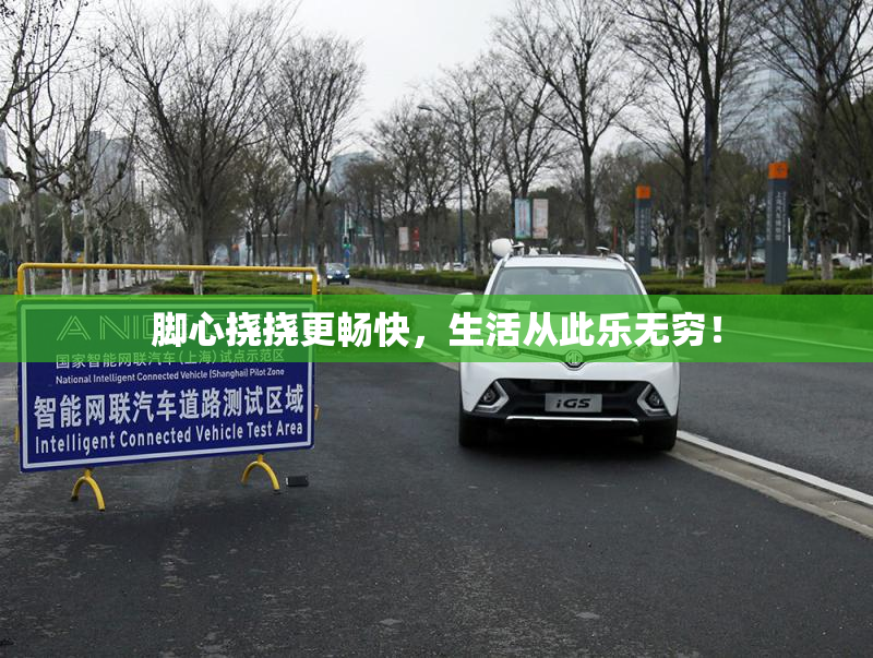 脚心挠挠更畅快，生活从此乐无穷！
