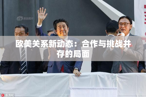 欧美关系新动态：合作与挑战并存的局面