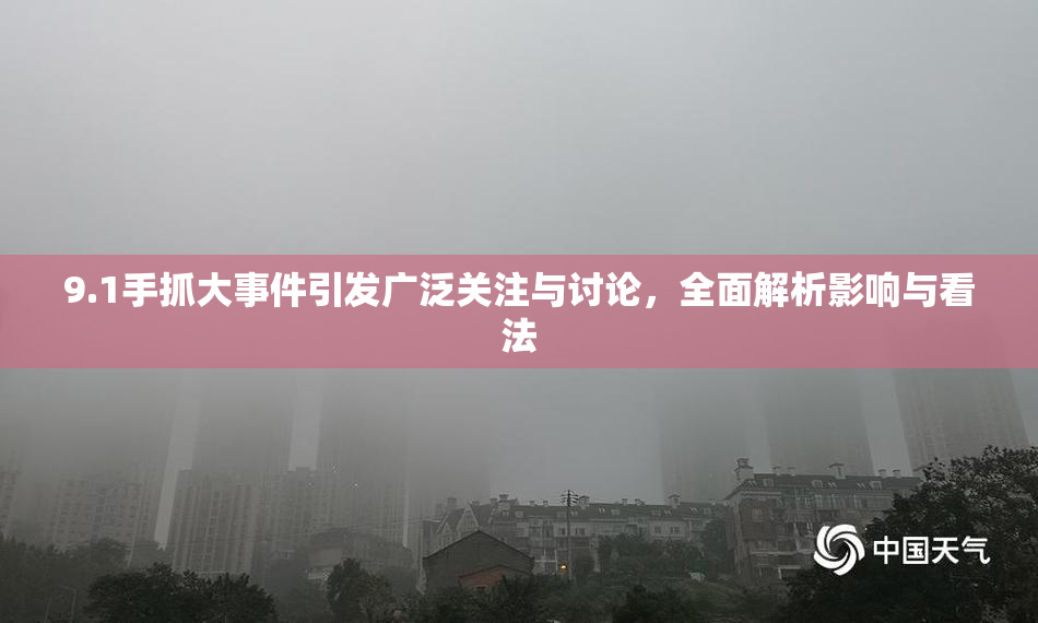 9.1手抓大事件引发广泛关注与讨论，全面解析影响与看法