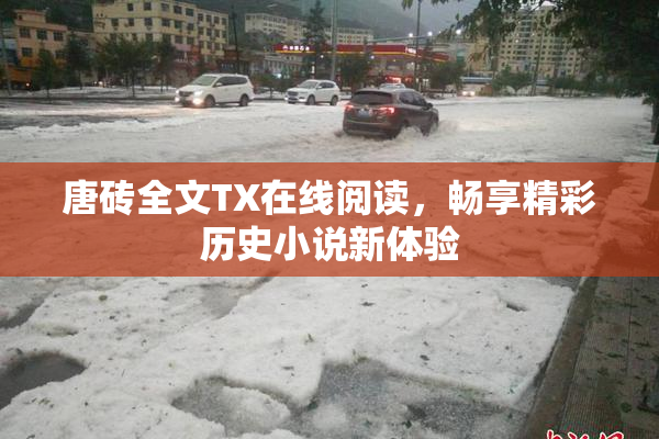 唐砖全文TX在线阅读，畅享精彩历史小说新体验