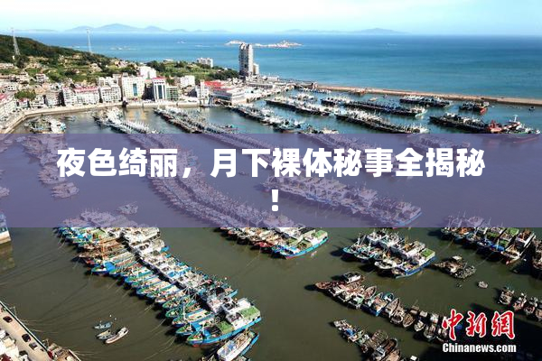 夜色绮丽，月下裸体秘事全揭秘！