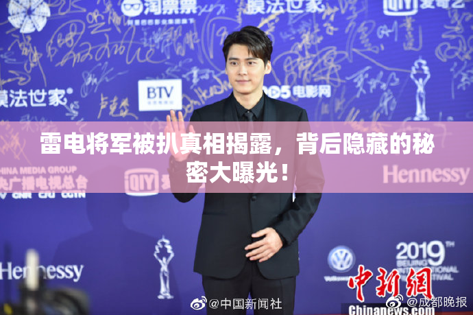 雷电将军被扒真相揭露，背后隐藏的秘密大曝光！