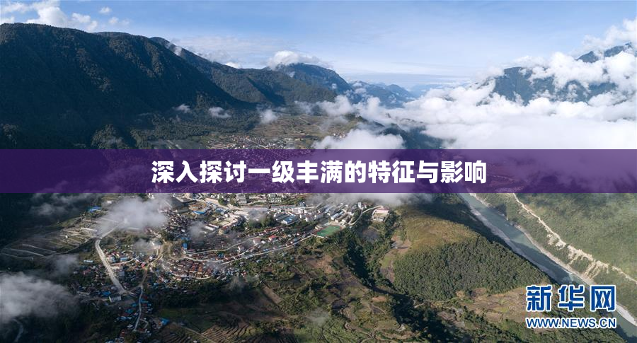 深入探讨一级丰满的特征与影响