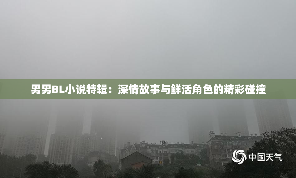 男男BL小说特辑：深情故事与鲜活角色的精彩碰撞