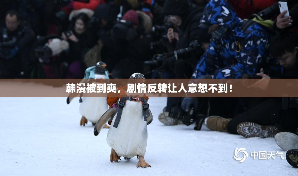 韩漫被到爽，剧情反转让人意想不到！