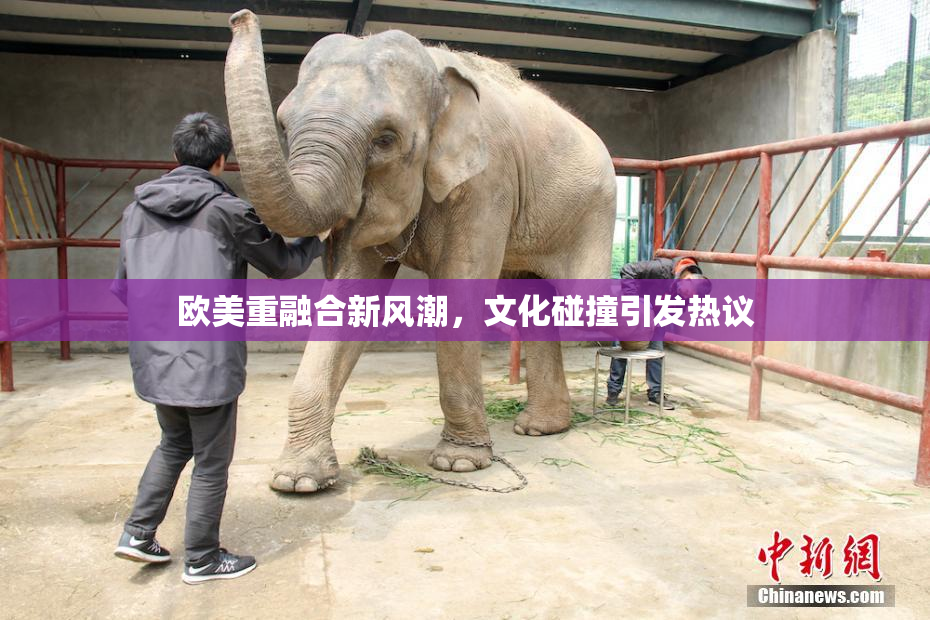 欧美重融合新风潮，文化碰撞引发热议