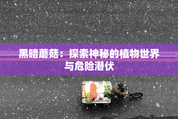 黑暗蘑菇：探索神秘的植物世界与危险潜伏