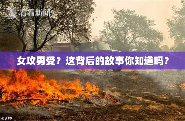 女攻男受？这背后的故事你知道吗？