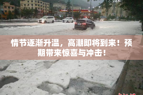 情节逐渐升温，高潮即将到来！预期带来惊喜与冲击！
