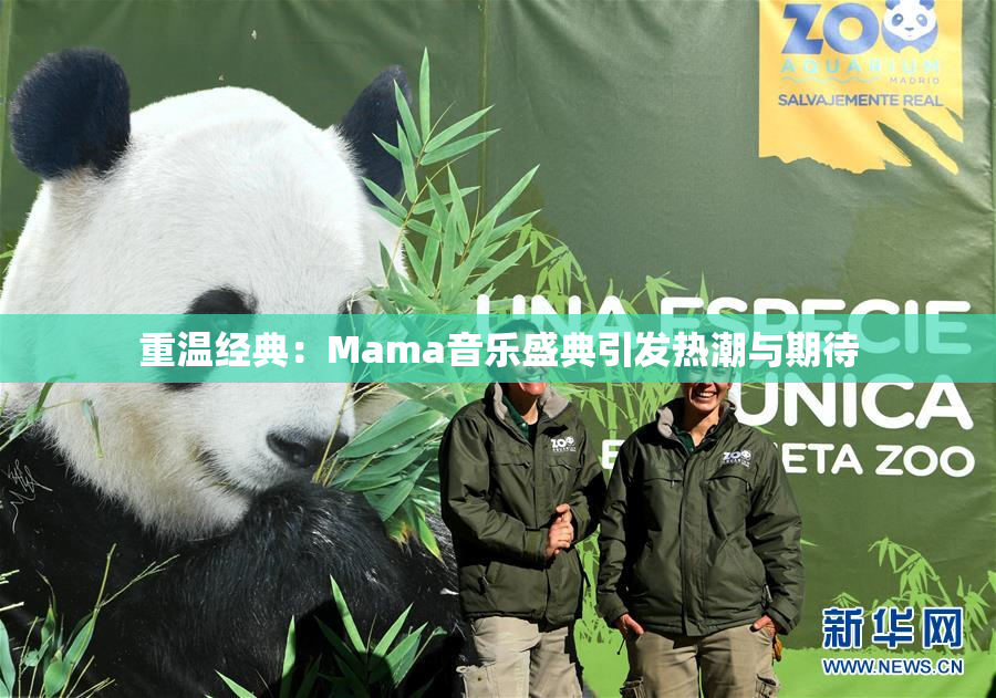 重温经典：Mama音乐盛典引发热潮与期待