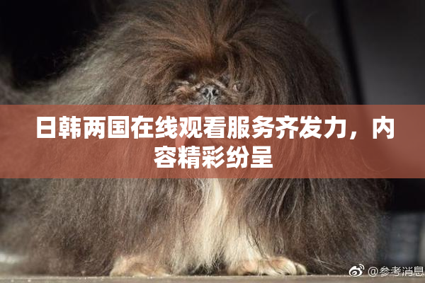 日韩两国在线观看服务齐发力，内容精彩纷呈