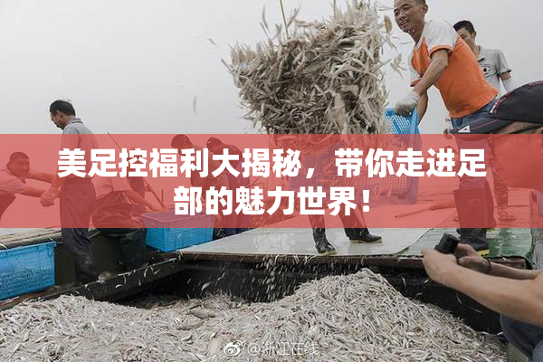 美足控福利大揭秘，带你走进足部的魅力世界！