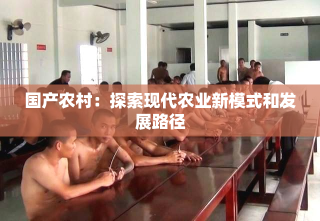 国产农村：探索现代农业新模式和发展路径