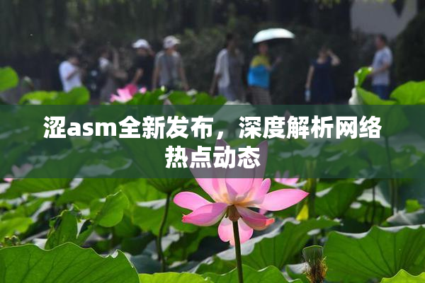 涩asm全新发布，深度解析网络热点动态