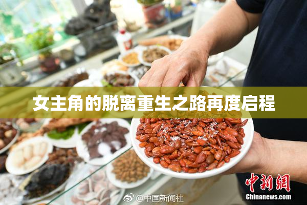 女主角的脱离重生之路再度启程