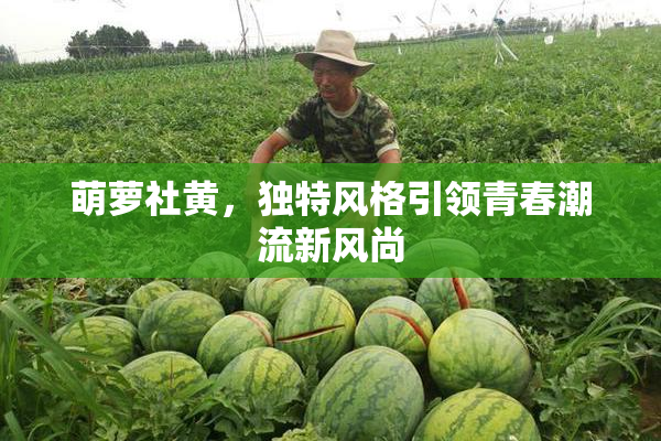 萌萝社黄，独特风格引领青春潮流新风尚