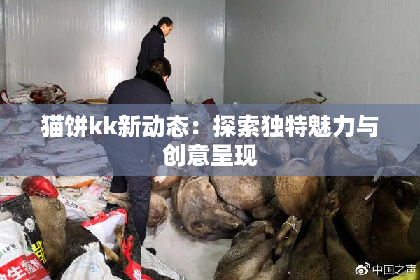 猫饼kk新动态：探索独特魅力与创意呈现