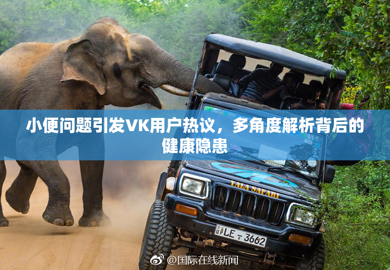 小便问题引发VK用户热议，多角度解析背后的健康隐患