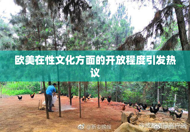 欧美在性文化方面的开放程度引发热议
