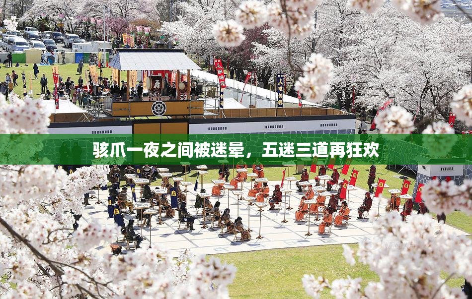 骇爪一夜之间被迷晕，五迷三道再狂欢