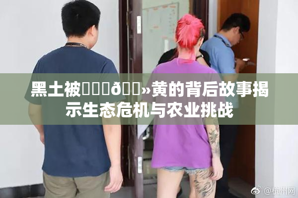 黑土被❌‌‌🐻黄的背后故事揭示生态危机与农业挑战