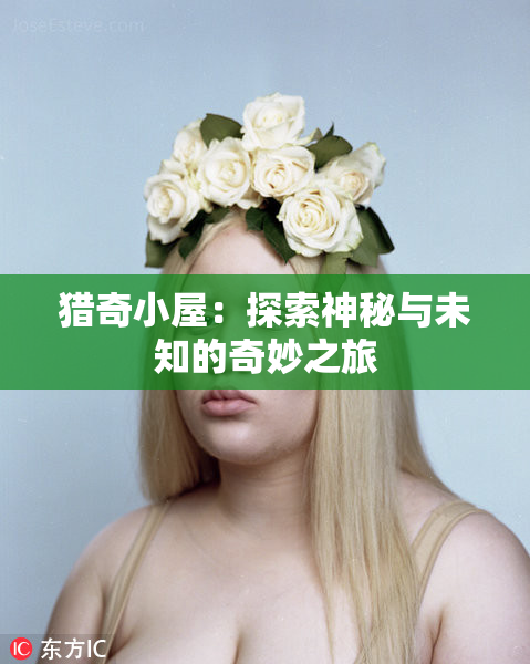 猎奇小屋：探索神秘与未知的奇妙之旅