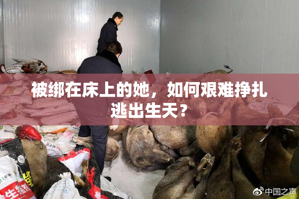 被绑在床上的她，如何艰难挣扎逃出生天？
