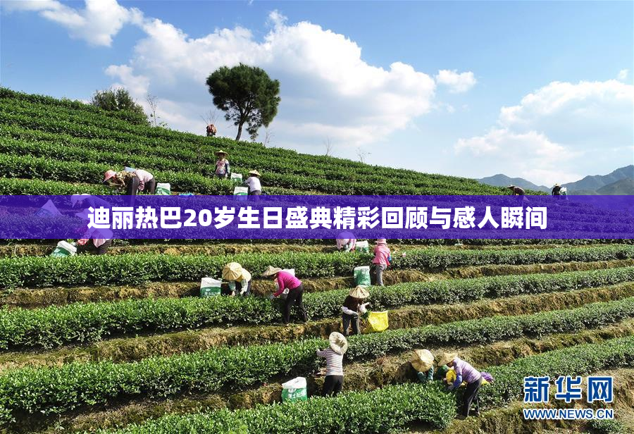 迪丽热巴20岁生日盛典精彩回顾与感人瞬间