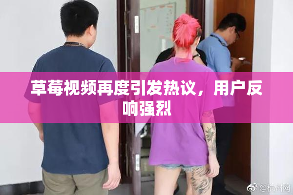 草莓视频再度引发热议，用户反响强烈