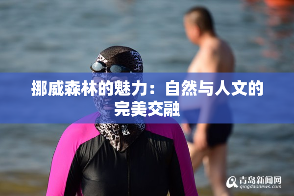 挪威森林的魅力：自然与人文的完美交融