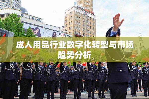 成人用品行业数字化转型与市场趋势分析