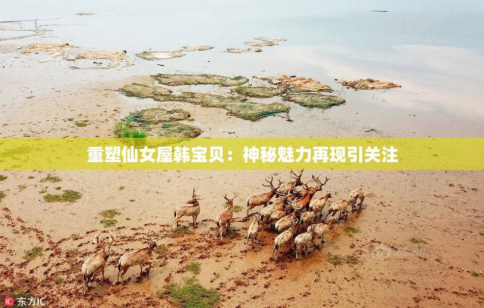 重塑仙女屋韩宝贝：神秘魅力再现引关注