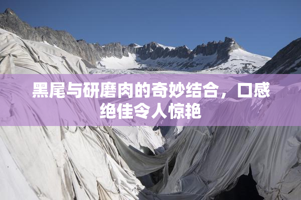 黑尾与研磨肉的奇妙结合，口感绝佳令人惊艳