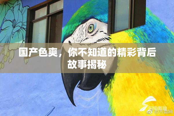 国产色爽，你不知道的精彩背后故事揭秘