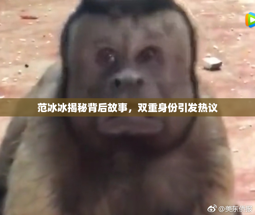 范冰冰揭秘背后故事，双重身份引发热议
