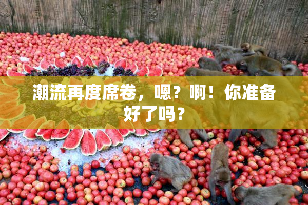 潮流再度席卷，嗯？啊！你准备好了吗？