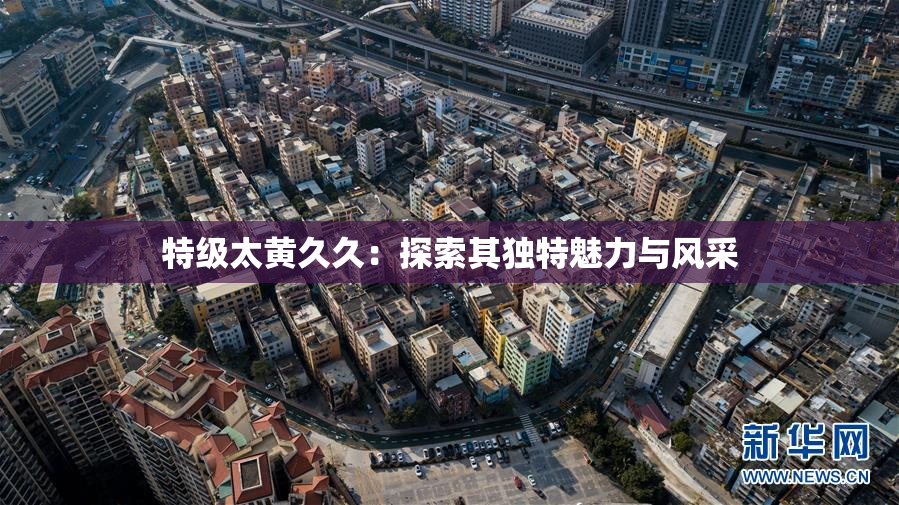 特级太黄久久：探索其独特魅力与风采